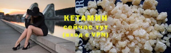 шишки Гусиноозёрск