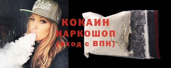 шишки Гусиноозёрск