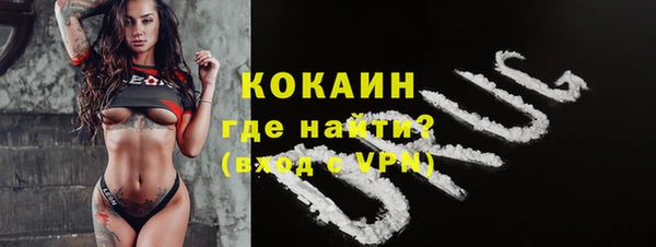 эйфоретик Гусь-Хрустальный