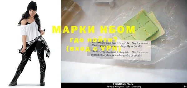 шишки Гусиноозёрск