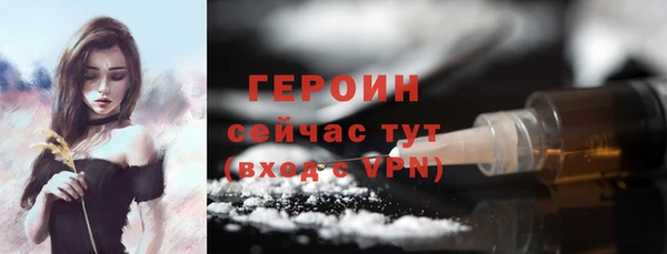 шишки Гусиноозёрск