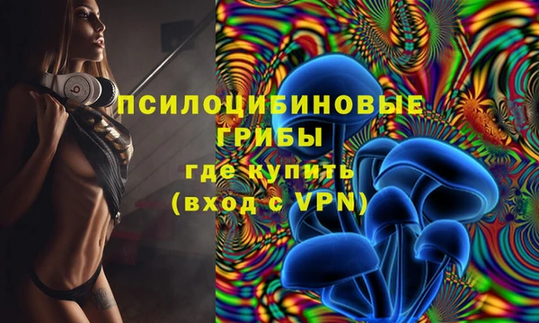 эйфоретик Гусь-Хрустальный