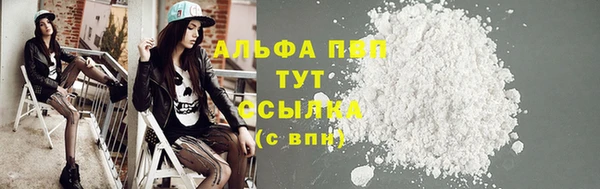 экстази Дмитриев