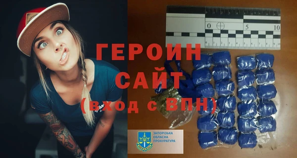 шишки Гусиноозёрск