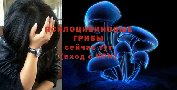 экстази Гусев